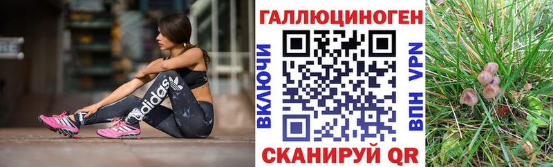 Галлюциногенные грибы мицелий  закладки  Верхний Уфалей 